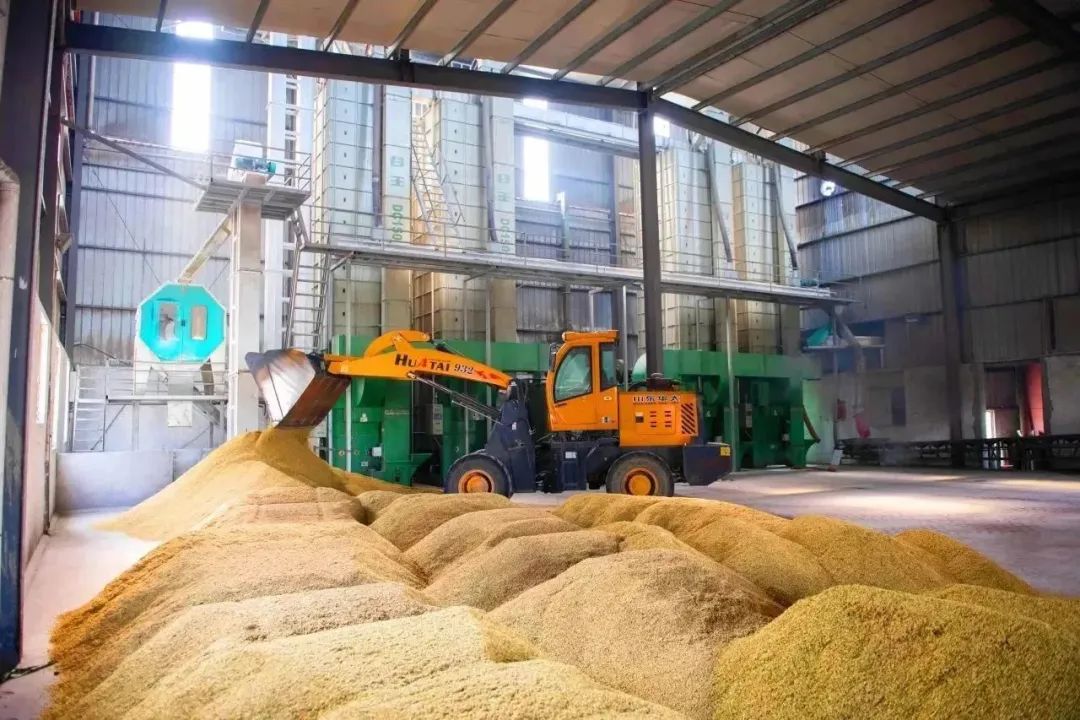 富硒大米是功能性产品吗(大米的富硒标准)-硒宝网