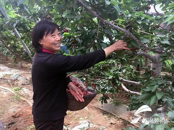 富硒农产品代理如何销售(富硒农产品专营)-硒宝网