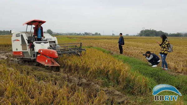 贵港富硒农产品检测中心(贵港市富硒农产品)-硒宝网