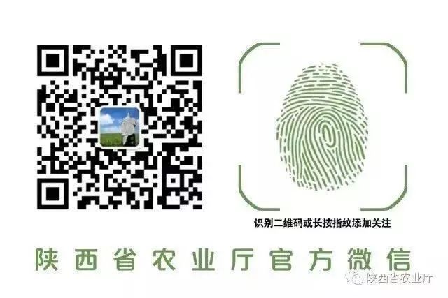 生态富硒农产品系列活动(农生态系列富硒活动产品有哪些)-硒宝网