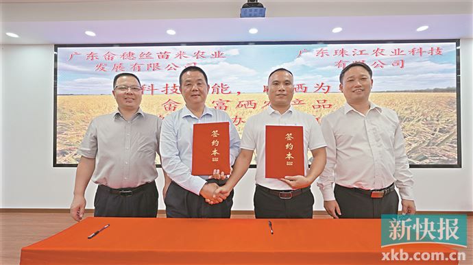 如何进行农产品富硒试验(富硒农作物生产技术)-硒宝网