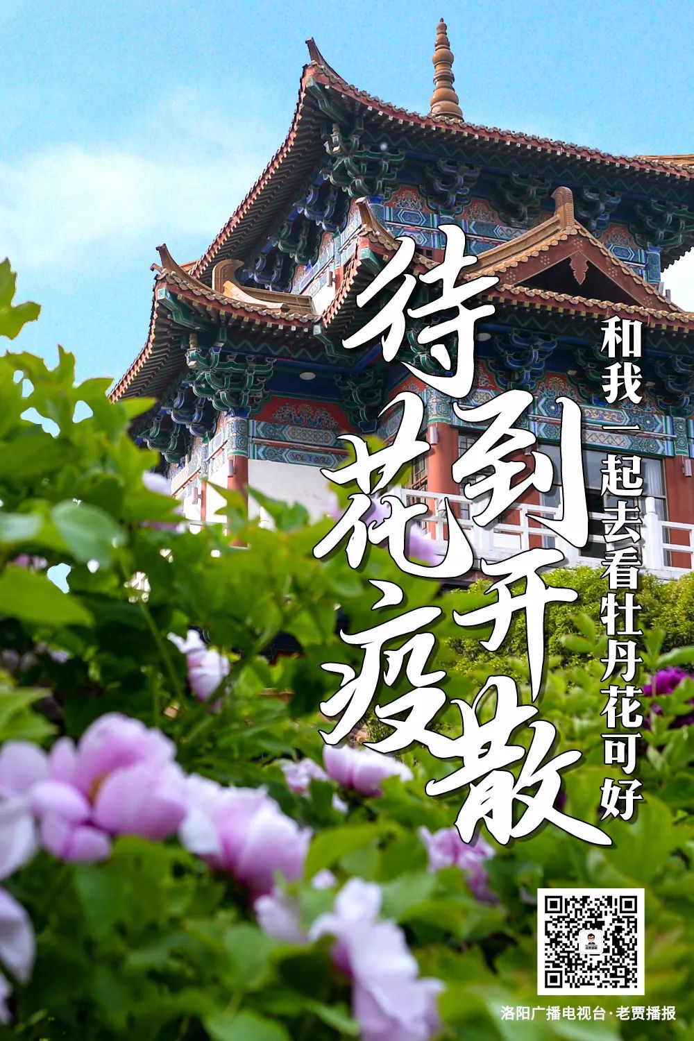 新乡富硒农产品认证标准（农新乡认证标准富硒产品有哪些）-硒宝网