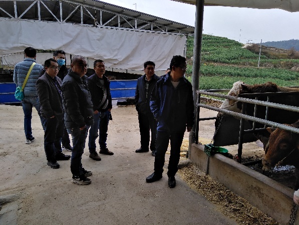 广西富硒农产品发展现状（广西富硒农业）-硒宝网