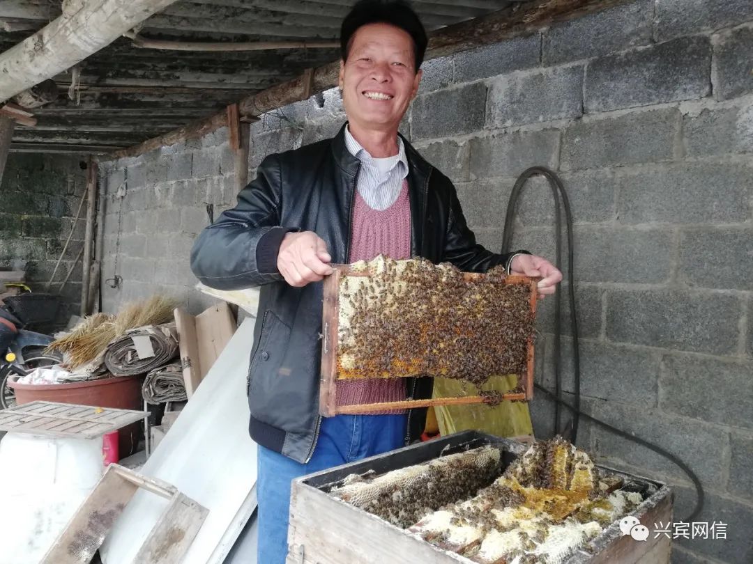 广西富硒农产品生产基地（广西富硒农业）-硒宝网