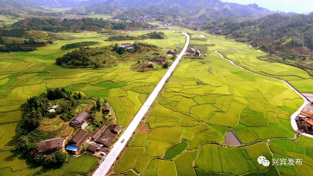 广西富硒农产品生产基地（广西富硒农业）-硒宝网
