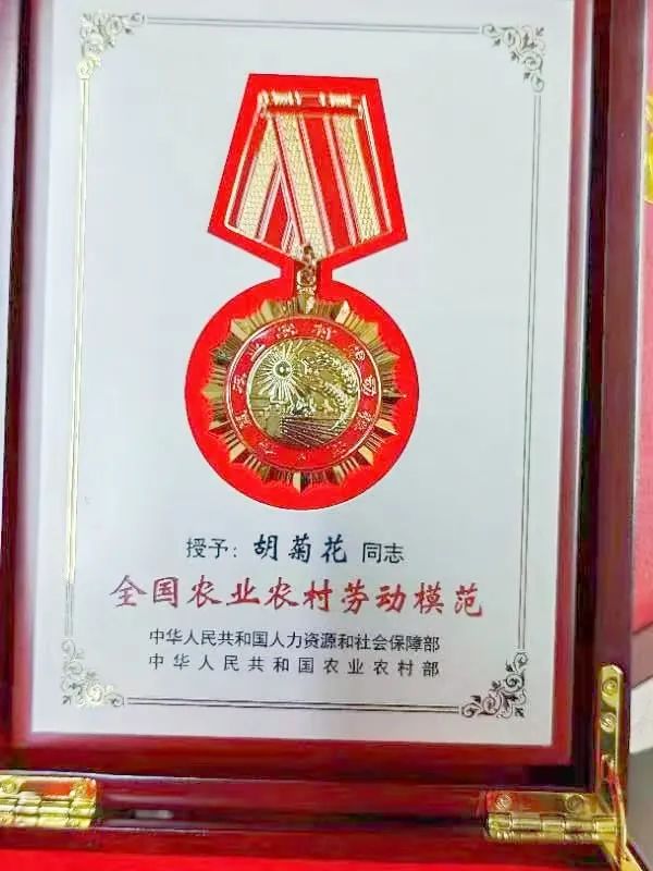 广西富硒农产品生产基地（广西富硒农产品协会）-硒宝网