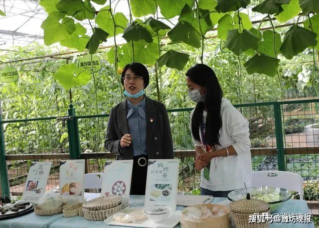 富硒研电商产品有前景吗(富硒行业)-硒宝网