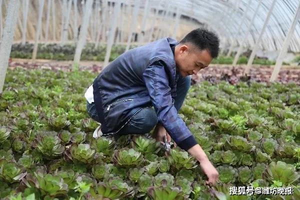 富硒研电商产品有前景吗(富硒行业)-硒宝网