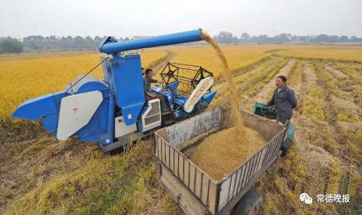 湖南佳兴生态富硒农产品（湖南富硒之乡）-硒宝网