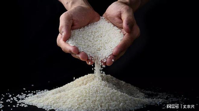 富硒大米是功能性产品吗(大米性富硒功能产品是什么意思)-硒宝网