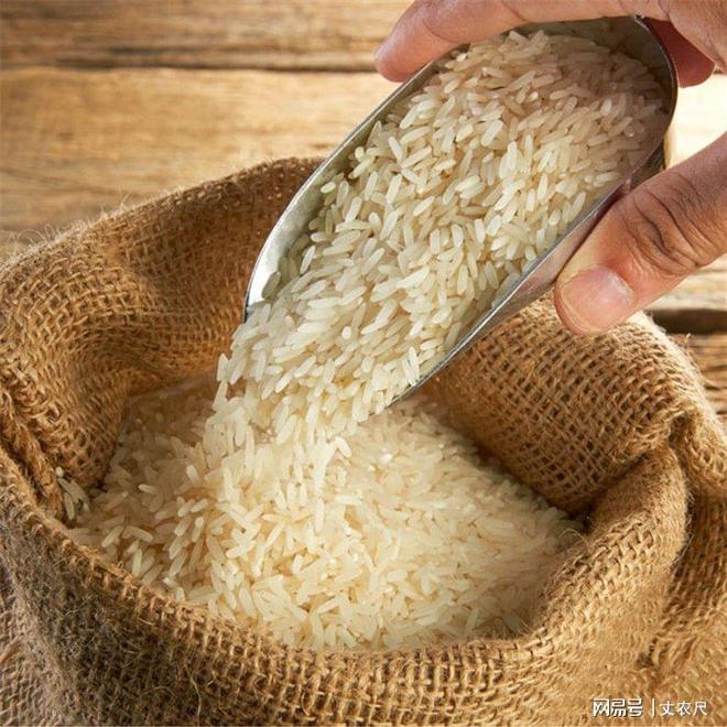 富硒大米是功能性产品吗(大米性富硒功能产品是什么意思)-硒宝网