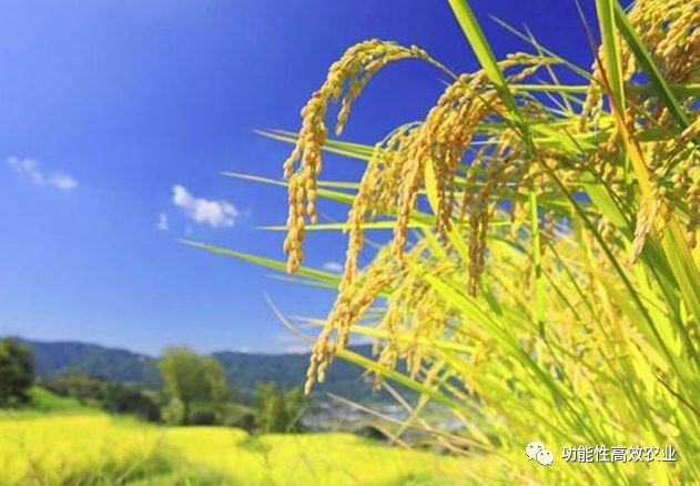 有机富硒农产品认证标识（富硒农产品认证过程）-硒宝网