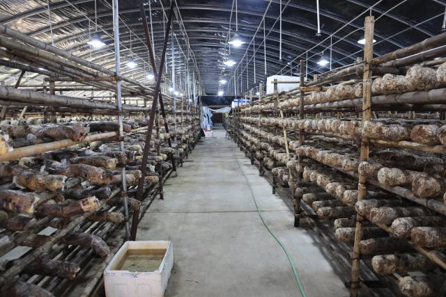 富硒农业有哪几种产品呢(富硒功能农业)-硒宝网