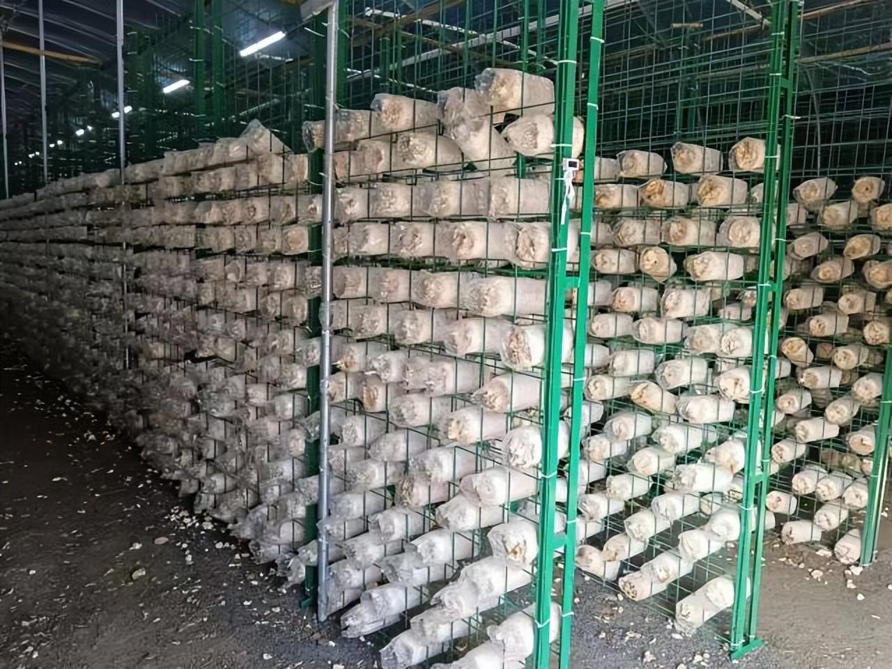 富硒农业有哪几种产品呢(富硒功能农业)-硒宝网