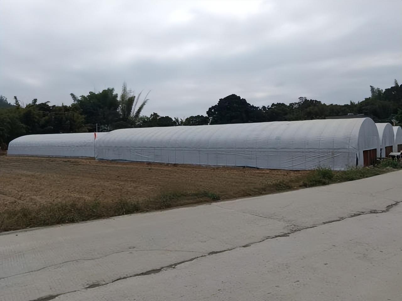 富硒农业有哪几种产品呢(富硒功能农业)-硒宝网