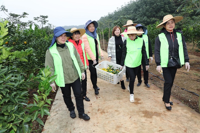 澄迈县富硒产品有多少种(澄迈长寿之乡富硒怎么来的)-硒宝网