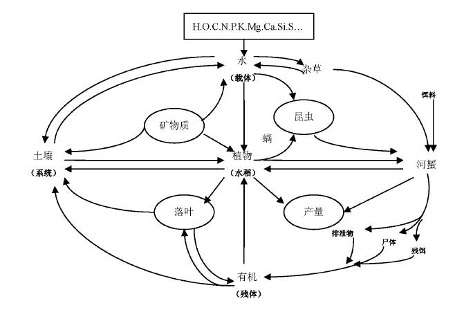 种植富硒农产品社会效益（富硒功能农业）-硒宝网