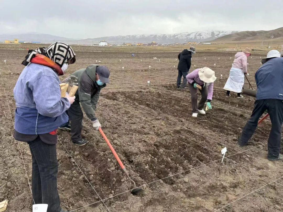 滨州富硒农产品检测单位(富硒食品检测单位)-硒宝网