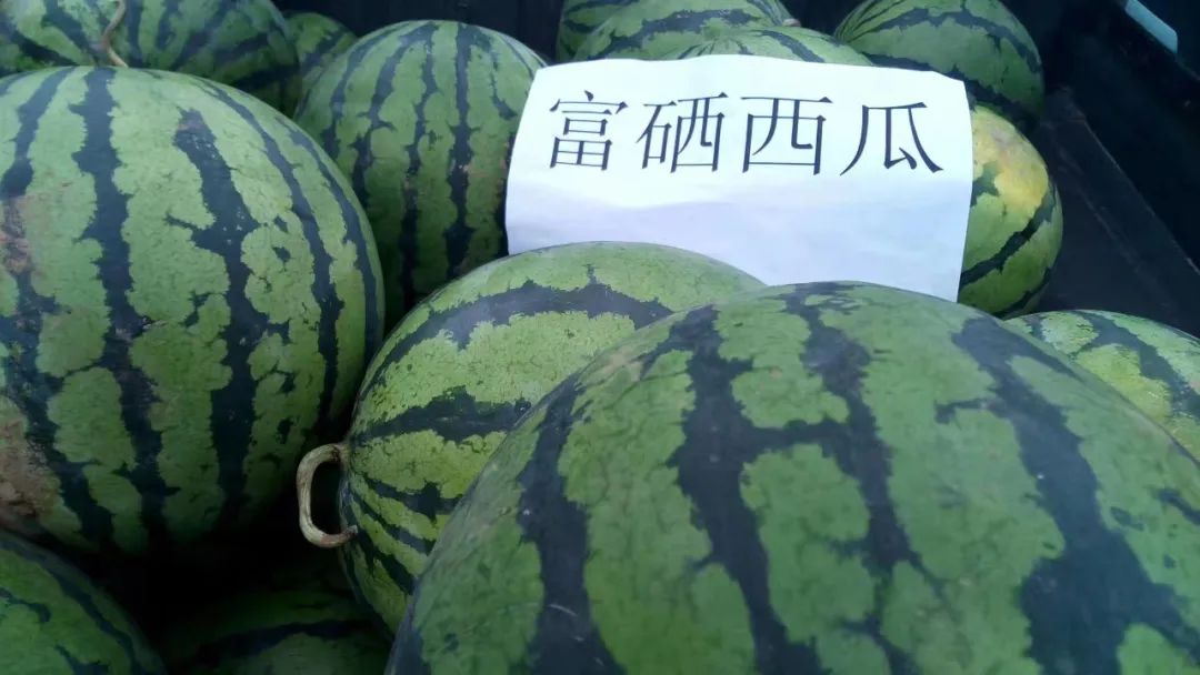 富硒农产品在云南能做吗(云南富硒茶属于什么茶)-硒宝网