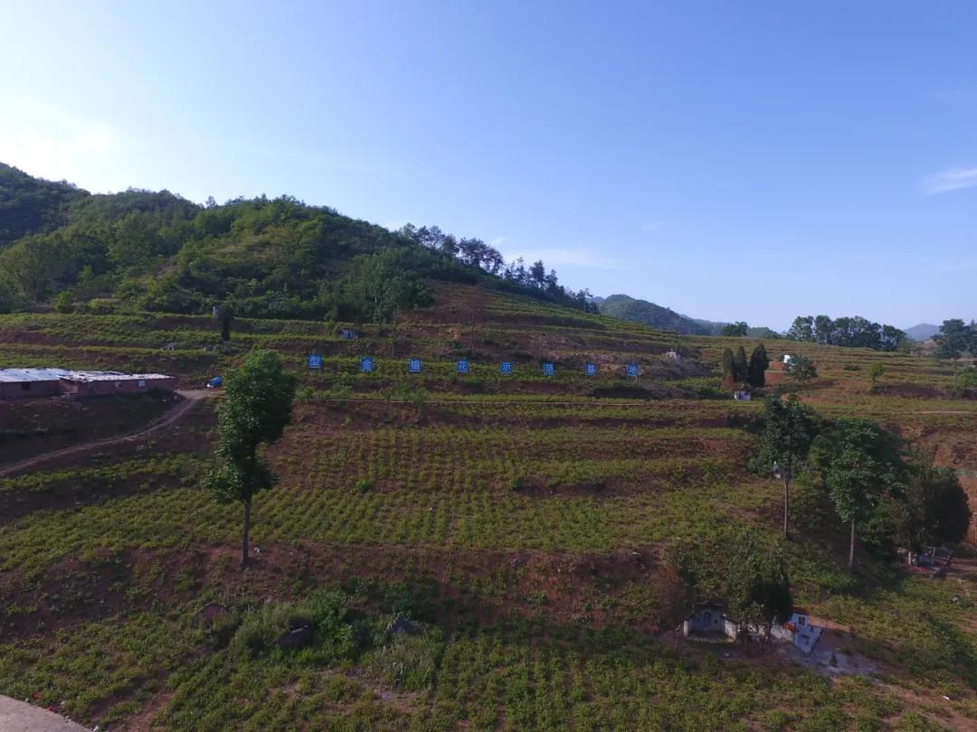 安康富硒农产品交易中心(安康市富硒产业)-硒宝网