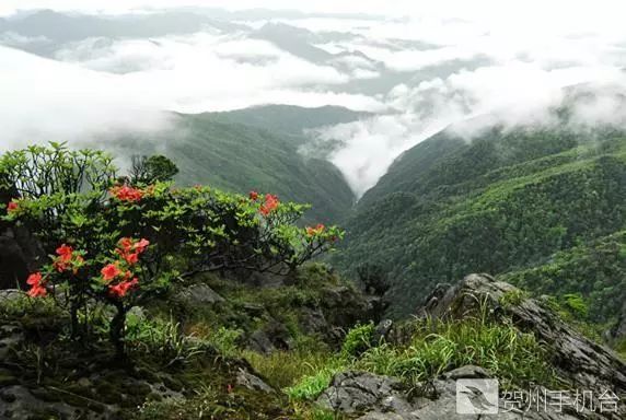 广西富硒农产品认证程序（富硒农产品认证机构）-硒宝网