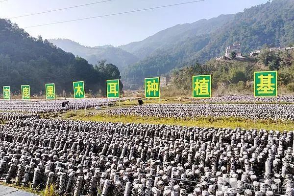 广西富硒农产品认证程序（富硒农产品认证机构）-硒宝网