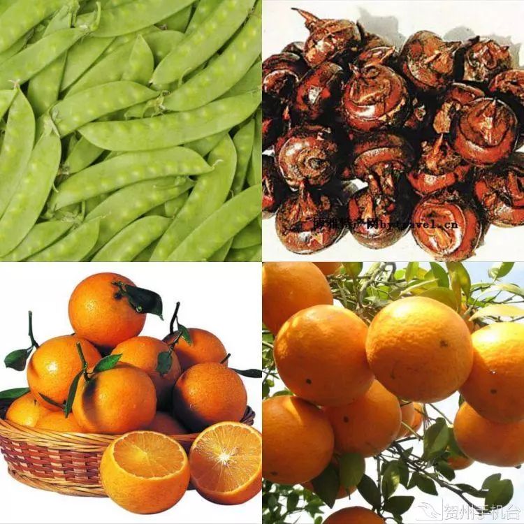 广西富硒农产品认证程序（富硒农产品认证机构）-硒宝网