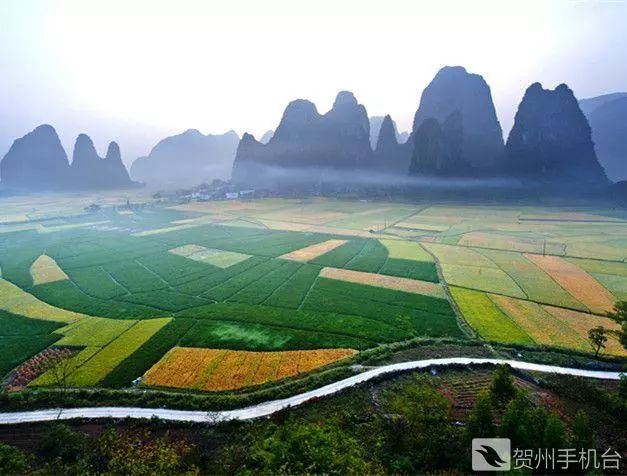 广西富硒农产品认证程序（富硒农产品认证机构）-硒宝网