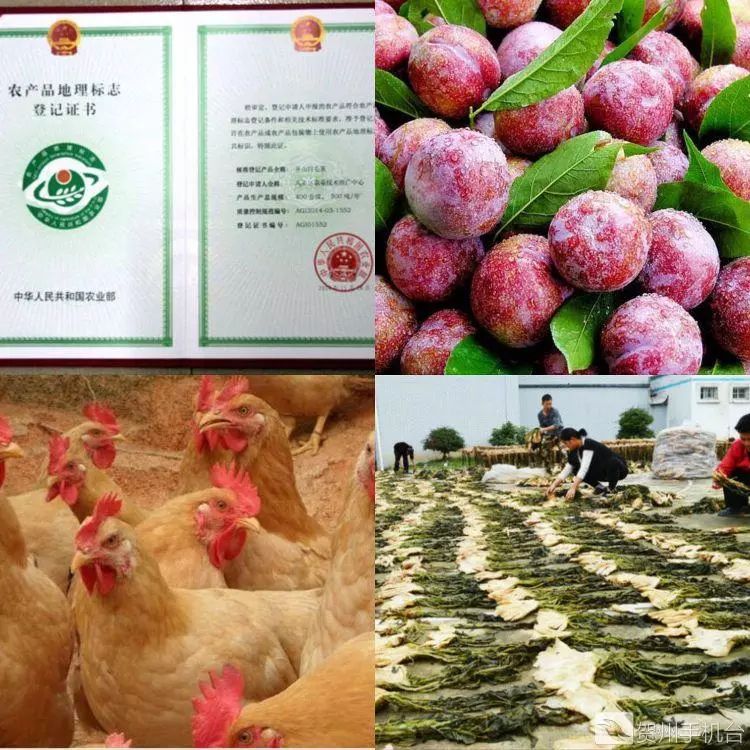 广西富硒农产品认证程序（富硒农产品认证机构）-硒宝网