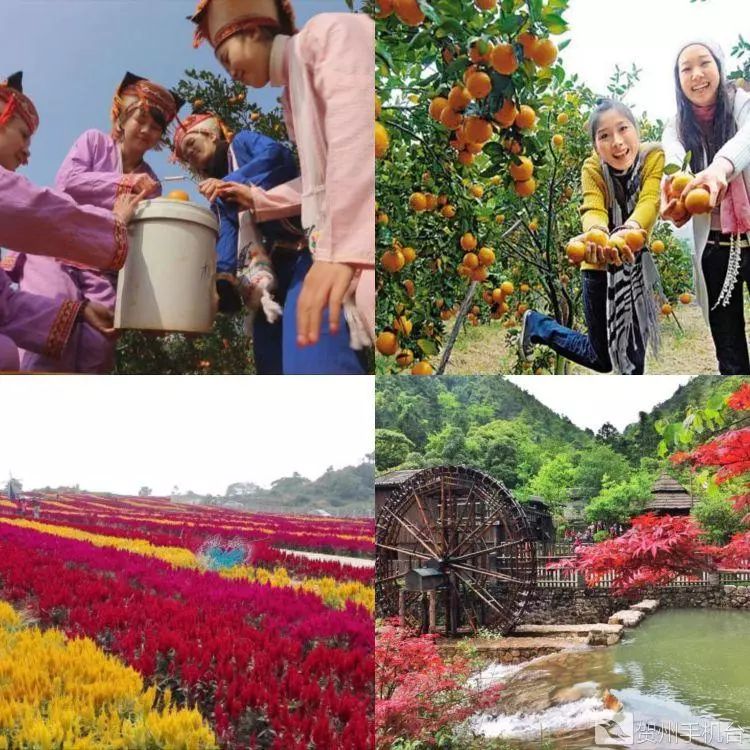 广西富硒农产品认证程序（富硒农产品认证机构）-硒宝网