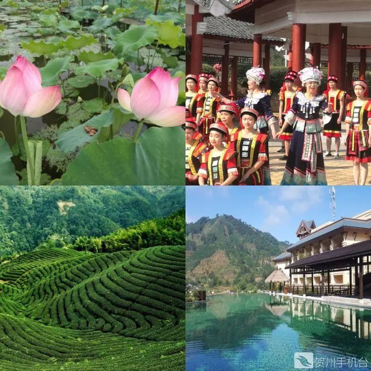 广西富硒农产品认证程序（富硒农产品认证机构）-硒宝网