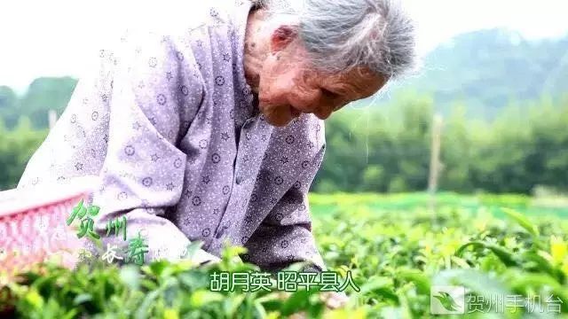 广西富硒农产品认证程序（富硒农产品认证机构）-硒宝网