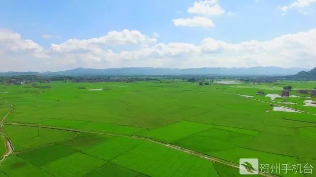 广西富硒农产品认证程序（富硒农产品认证机构）-硒宝网