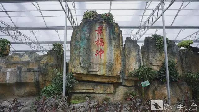 广西富硒农产品认证程序（富硒农产品认证机构）-硒宝网