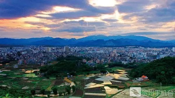 广西富硒农产品认证程序（富硒农产品认证机构）-硒宝网