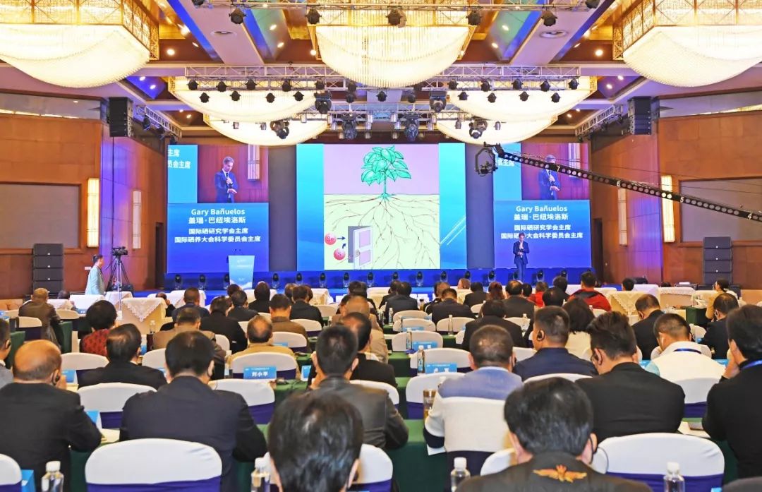 西安安康富硒产品怎么样（安康富硒产业有哪些）-硒宝网