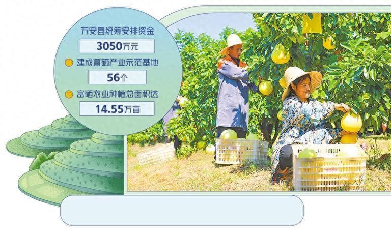 富硒农业有哪几种产品呢(农业种富硒产品有哪些品种)-硒宝网