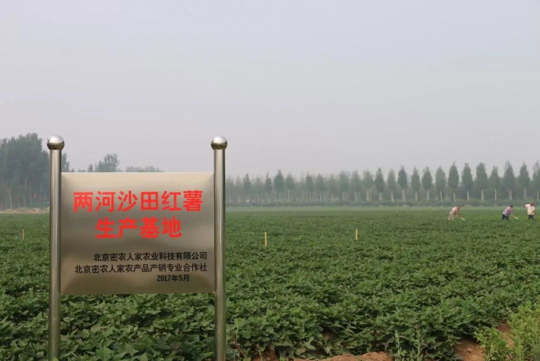 创新创业关于富硒农产品（富硒农场产品）-硒宝网