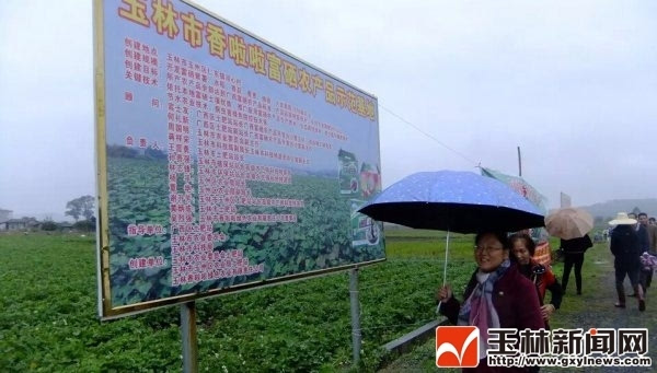 广西富硒农产品国家标准(广西富硒)-硒宝网