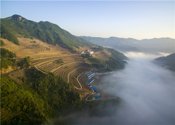 安康富硒农产品龙头企业（安康富硒研发中心）-硒宝网