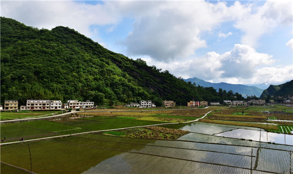 安康富硒农产品龙头企业（安康富硒研发中心）-硒宝网