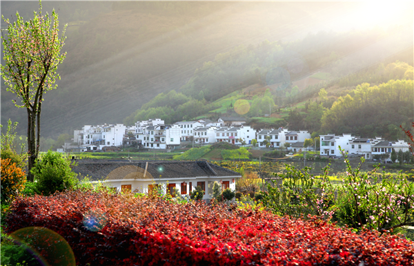 安康富硒农产品龙头企业（安康富硒研发中心）-硒宝网