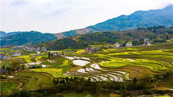 安康富硒农产品龙头企业（安康富硒研发中心）-硒宝网