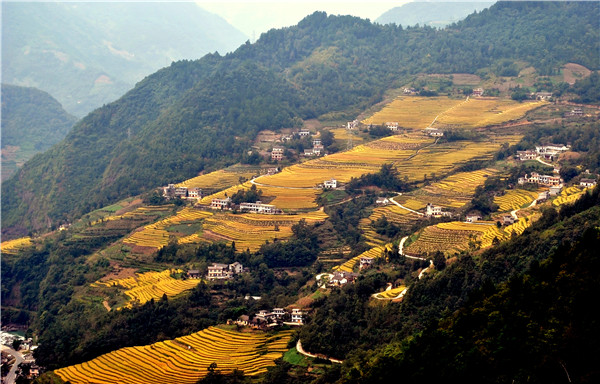 安康富硒农产品龙头企业（安康富硒研发中心）-硒宝网