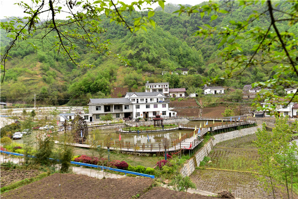 安康富硒农产品龙头企业（安康富硒研发中心）-硒宝网