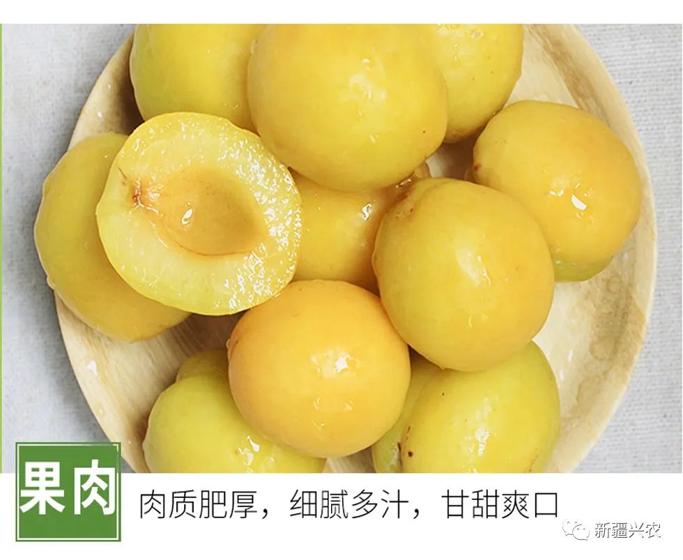 富硒杏汁是哪里的特产品(杏特产汁品富硒是什么东西)-硒宝网