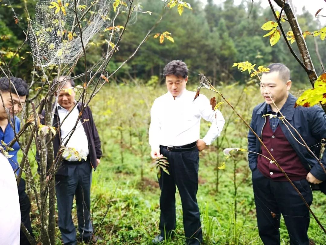 富硒产品认证标准是什么（认证标准富硒产品是什么）-硒宝网