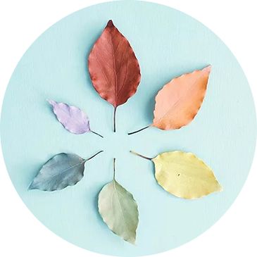 富硒产品认证标准是什么（认证标准富硒产品是什么）-硒宝网