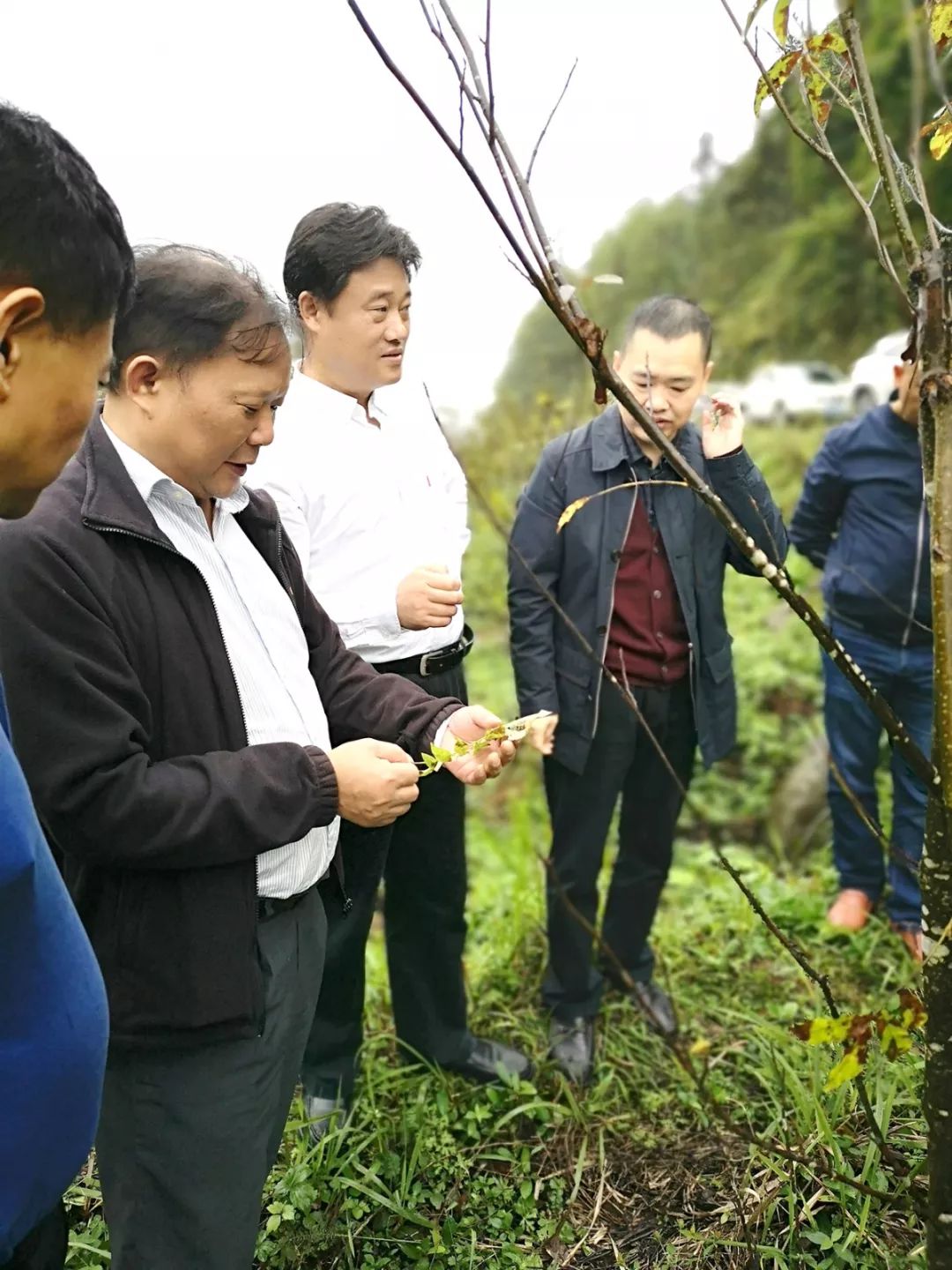 富硒产品认证标准是什么（认证标准富硒产品是什么）-硒宝网