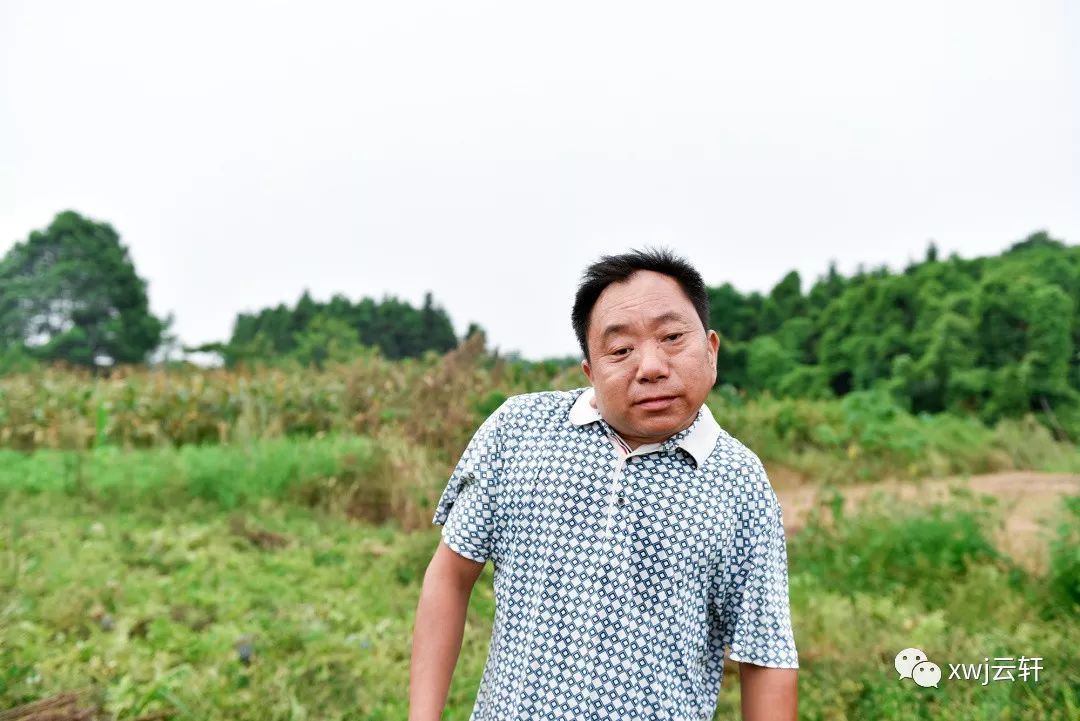 消费者对富硒产品的态度(何为富硒产品)-硒宝网